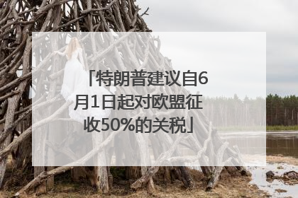 特朗普建议自6月1日起对欧盟征收50%的关税